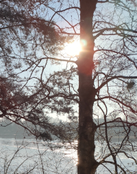 Feature Sascha Wundes